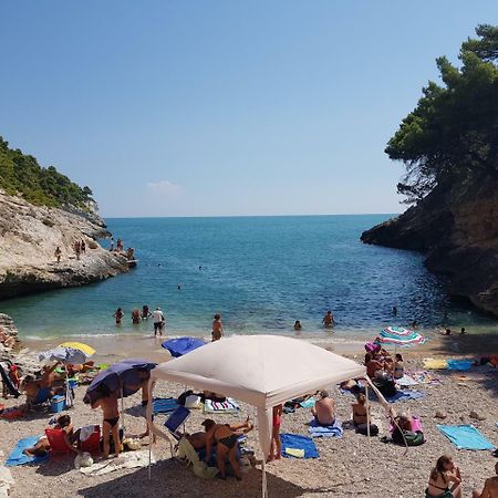 فيستَ Villa Cala Della Pergola المظهر الخارجي الصورة