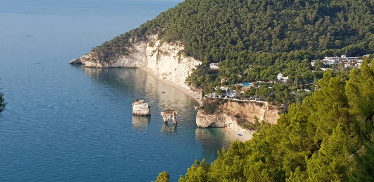 فيستَ Villa Cala Della Pergola المظهر الخارجي الصورة