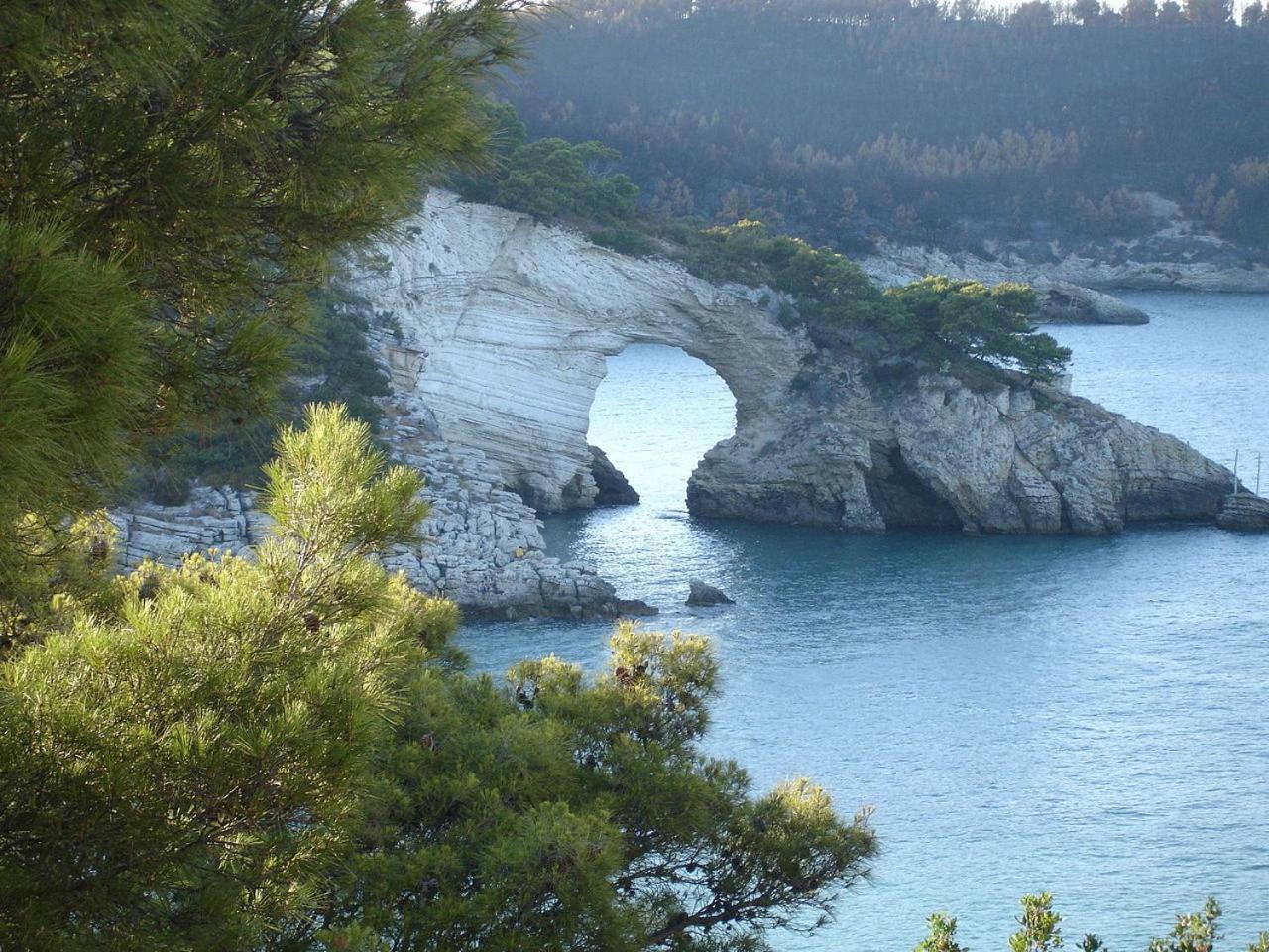 فيستَ Villa Cala Della Pergola المظهر الخارجي الصورة